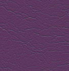 Amethyst Natursoft swatch